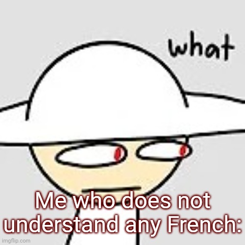 Opposition: what | Me who does not understand any French: | image tagged in opposition what | made w/ Imgflip meme maker