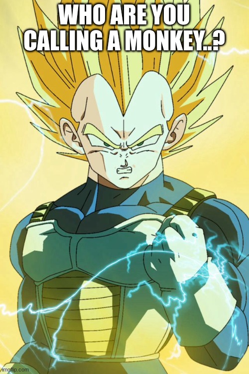 Super Saiyan Vegeta | WHO ARE YOU CALLING A MONKEY..? | image tagged in super saiyan vegeta | made w/ Imgflip meme maker