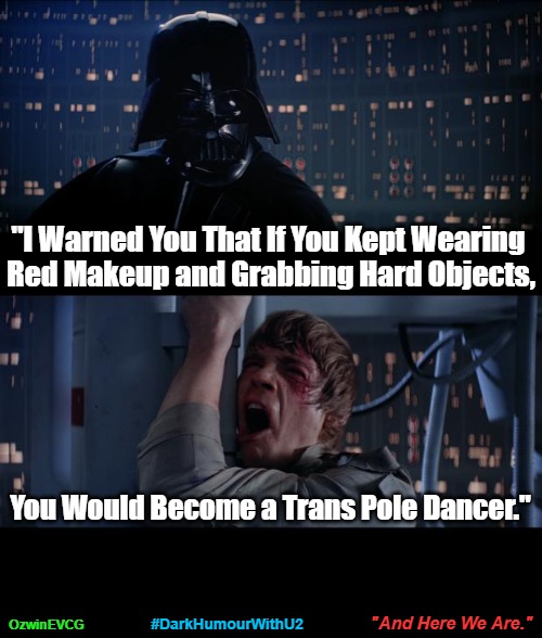 "And Here We Are." | "I Warned You That If You Kept Wearing 

Red Makeup and Grabbing Hard Objects, You Would Become a Trans Pole Dancer."; "And Here We Are."; #DarkHumourWithU2; OzwinEVCG | image tagged in real talk,star wars no,ridiculous,dark humour,warnings,awkward | made w/ Imgflip meme maker