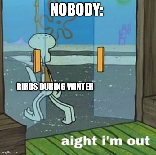 Birds during winter | NOBODY:; BIRDS DURING WINTER | image tagged in aight i'm out,jpfan102504 | made w/ Imgflip meme maker