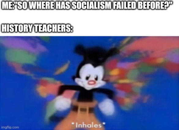 Don't worry, it'll work this time though | ME:"SO WHERE HAS SOCIALISM FAILED BEFORE?"; HISTORY TEACHERS: | image tagged in yakko inhale,history memes,historical meme,democratic socialism,socialism,communism | made w/ Imgflip meme maker