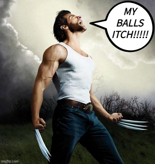 MY BALLS ITCH!!!!! | made w/ Imgflip meme maker