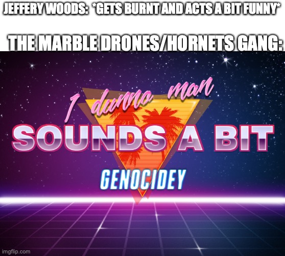 he up to something funni . and it will happen in ep3 | JEFFERY WOODS:  *GETS BURNT AND ACTS A BIT FUNNY*; THE MARBLE DRONES/HORNETS GANG: | image tagged in i dunno man sounds a bit genocidey,memes,marble drones,murder drones,sus,hmmm | made w/ Imgflip meme maker