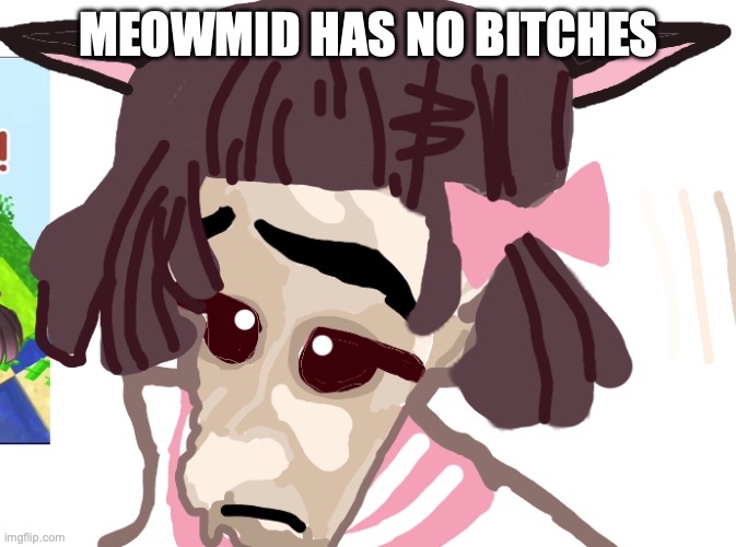 No bitches? (Meowbahh) | MEOWMID HAS NO BITCHES | image tagged in no bitches meowbahh | made w/ Imgflip meme maker