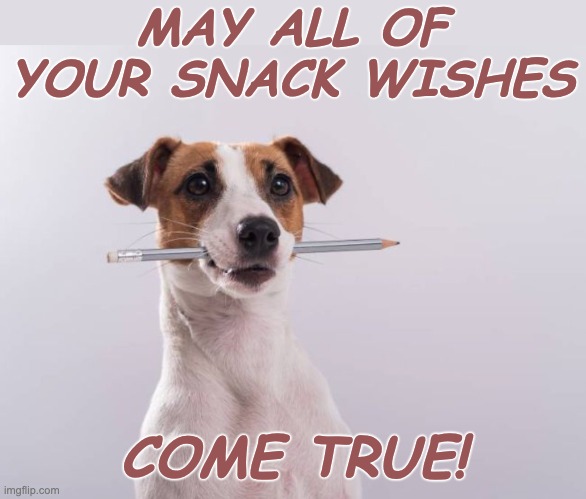 For when you really need something crunchy | MAY ALL OF YOUR SNACK WISHES; COME TRUE! | image tagged in dog with pencil,snack,dog,dogs,crunch | made w/ Imgflip meme maker