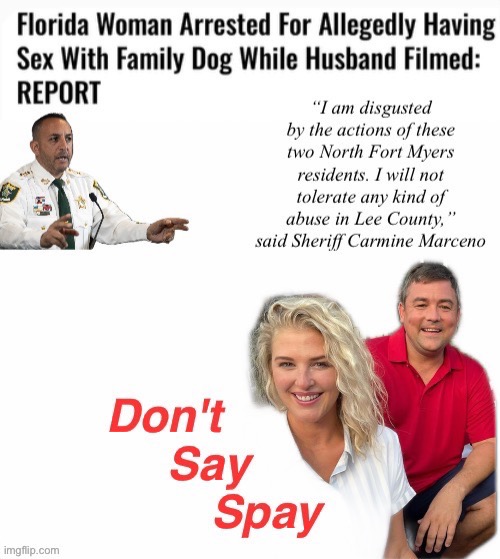 Don't Say Spay In Florida | image tagged in the sunshine state | made w/ Imgflip meme maker