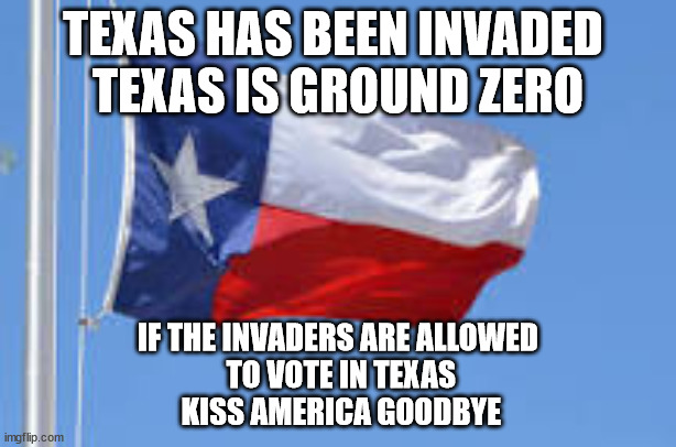 THE ALAMO REVISITED. REMEMBER THE ALAMO? | TEXAS HAS BEEN INVADED 
TEXAS IS GROUND ZERO; IF THE INVADERS ARE ALLOWED
 TO VOTE IN TEXAS
 KISS AMERICA GOODBYE | image tagged in texas flag,invasion,illegal aliens | made w/ Imgflip meme maker