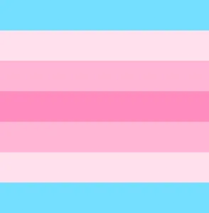 Transfem Flag Blank Template - Imgflip