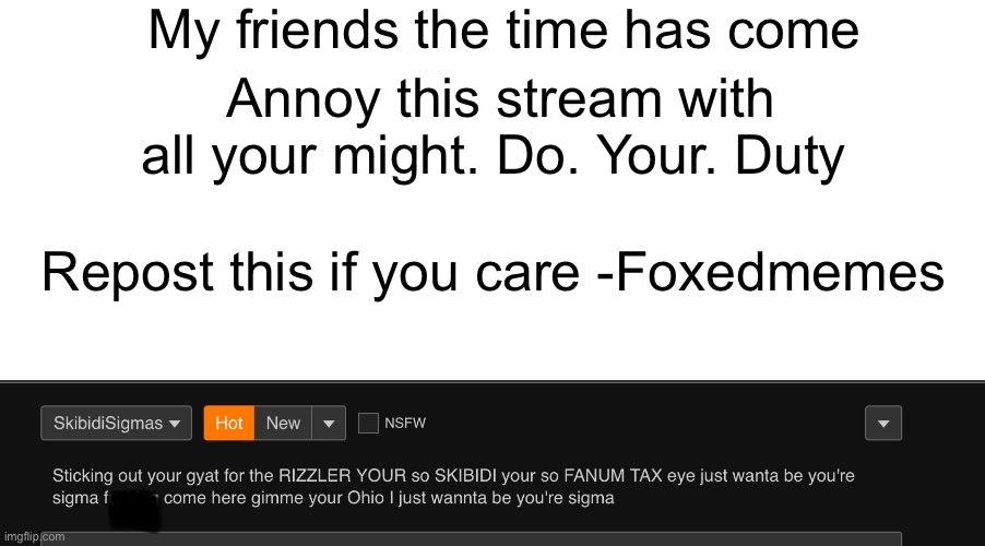 Hehe doody | My friends the time has come; Annoy this stream with all your might. Do. Your. Duty; Repost this if you care -Foxedmemes | image tagged in blank white template | made w/ Imgflip meme maker