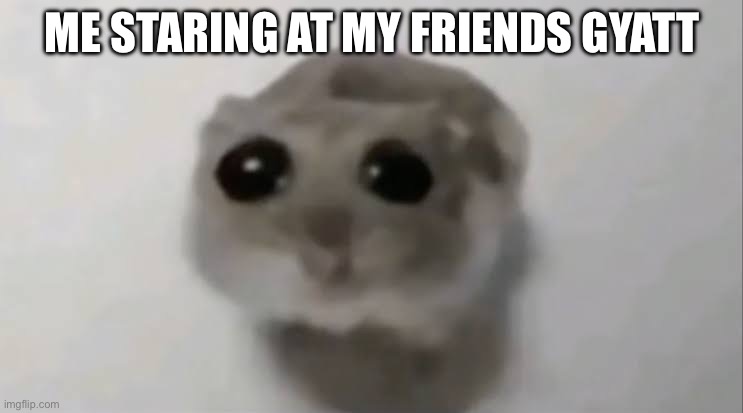 Me fr | ME STARING AT MY FRIENDS GYATT | image tagged in sad hamster | made w/ Imgflip meme maker