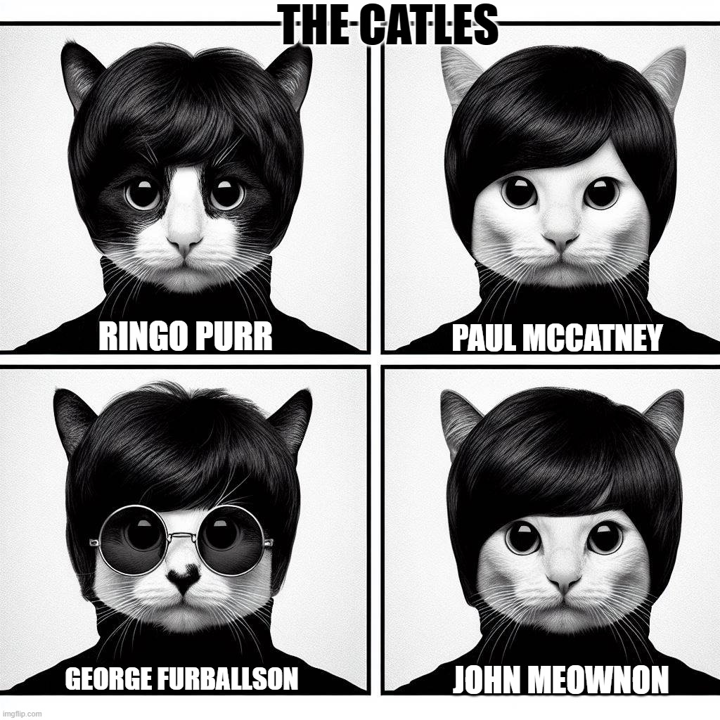The Catles | THE CATLES; PAUL MCCATNEY; RINGO PURR; GEORGE FURBALLSON; JOHN MEOWNON | image tagged in puns,you know you want 'em,yeah,baby | made w/ Imgflip meme maker