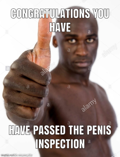 penis inspection | image tagged in penis inspection | made w/ Imgflip meme maker
