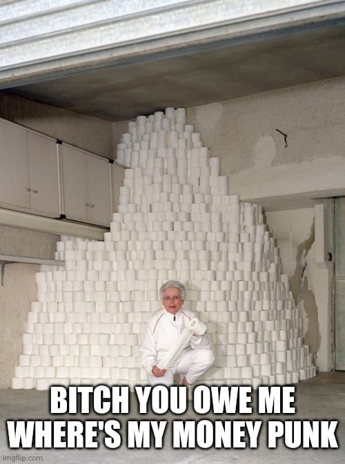 mountain of toilet paper | BITCH YOU OWE ME WHERE'S MY MONEY PUNK | image tagged in mountain of toilet paper | made w/ Imgflip meme maker