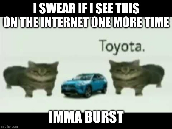 i haet this meme | I SWEAR IF I SEE THIS ON THE INTERNET ONE MORE TIME; IMMA BURST | image tagged in toyotaaaaaaaaaaaaaaaa | made w/ Imgflip meme maker