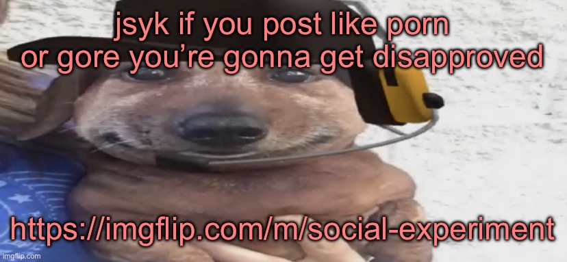 chucklenuts | jsyk if you post like porn or gore you’re gonna get disapproved; https://imgflip.com/m/social-experiment | image tagged in chucklenuts | made w/ Imgflip meme maker