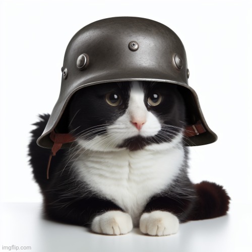 Die Katzen raid | image tagged in kaiser_floppa_the_1st silly post | made w/ Imgflip meme maker