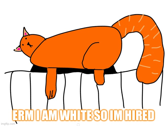Catnapper anouns temp | ERM I AM WHITE SO IM HIRED | image tagged in catnapper anouns temp | made w/ Imgflip meme maker