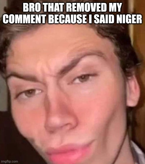 Rizz | BRO THAT REMOVED MY COMMENT BECAUSE I SAID NIGER | image tagged in rizz | made w/ Imgflip meme maker