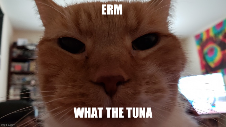 Ello Uman | ERM WHAT THE TUNA | image tagged in ello uman | made w/ Imgflip meme maker