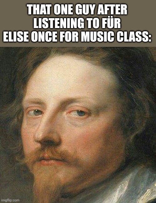 No, YOU ARE NOT a fan | THAT ONE GUY AFTER LISTENING TO FÜR ELISE ONCE FOR MUSIC CLASS: | image tagged in classic art portrait | made w/ Imgflip meme maker