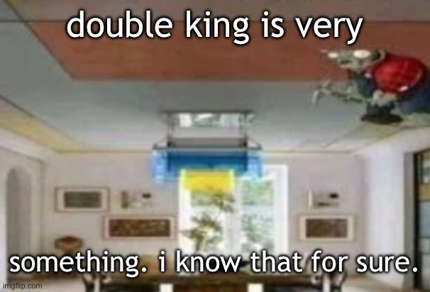 i would say it’s unhinged, probably. | double king is very; something. i know that for sure. | image tagged in in the ceiling | made w/ Imgflip meme maker