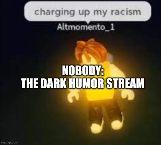 The only other thing is 9/11 and hitler jokes | NOBODY:
THE DARK HUMOR STREAM | image tagged in racist | made w/ Imgflip meme maker