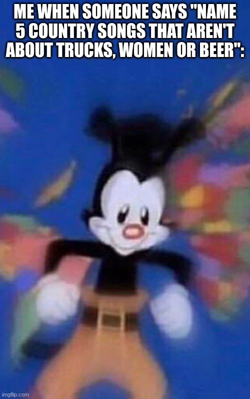 True story | ME WHEN SOMEONE SAYS "NAME 5 COUNTRY SONGS THAT AREN'T ABOUT TRUCKS, WOMEN OR BEER": | image tagged in yakko warner,country music,country,music | made w/ Imgflip meme maker