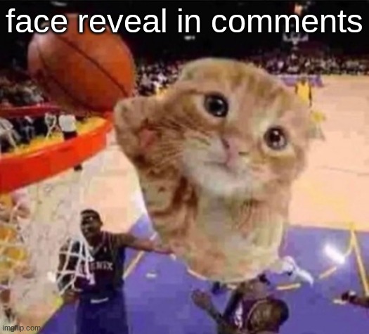ballin cat | face reveal in comments | image tagged in ballin cat | made w/ Imgflip meme maker