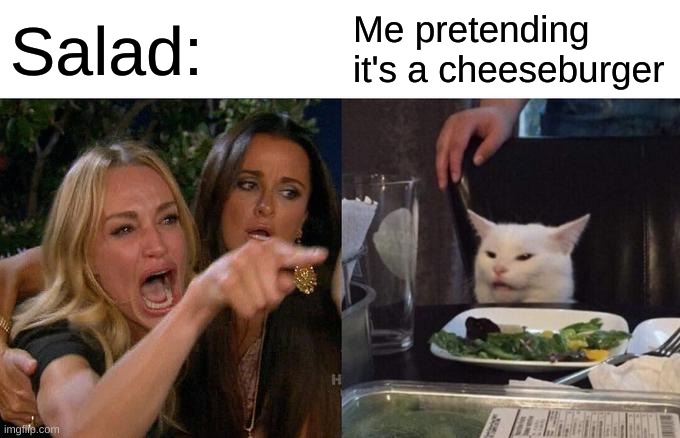 cheeseburger salad | Salad:; Me pretending it's a cheeseburger | image tagged in memes,woman yelling at cat | made w/ Imgflip meme maker