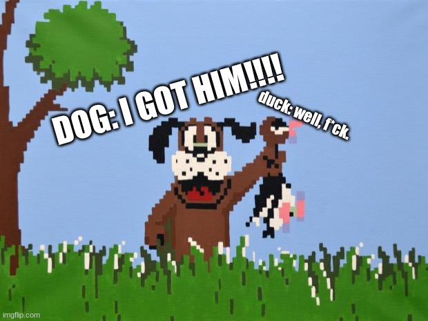 duck hunt meme. | DOG: I GOT HIM!!!! duck: well, f*ck. | image tagged in duck hunt | made w/ Imgflip meme maker