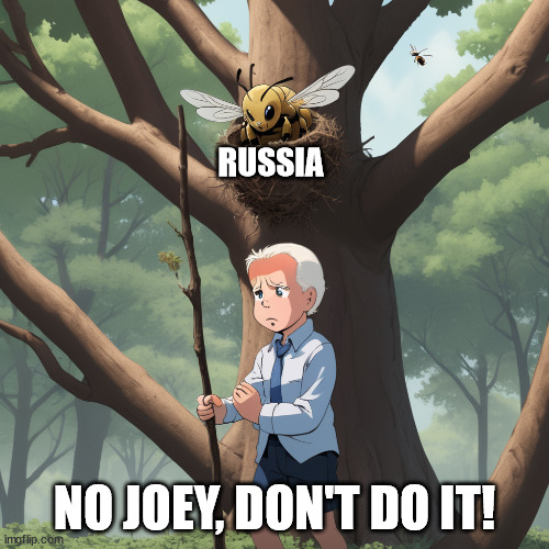 Poking the Russian Hornet's Nest | RUSSIA; NO JOEY, DON'T DO IT! | image tagged in fjb,brandon | made w/ Imgflip meme maker