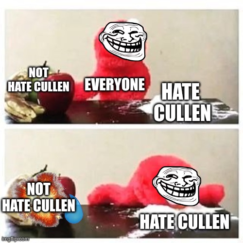 REALITY | NOT HATE CULLEN; EVERYONE; HATE  CULLEN; NOT HATE CULLEN; HATE CULLEN | image tagged in elmo cocaine | made w/ Imgflip meme maker