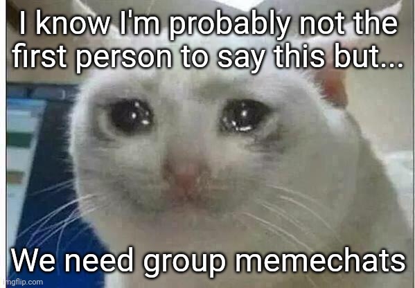 This would be really useful for big streams like msmg because mods/owners could easily discuss things without another website | I know I'm probably not the first person to say this but... We need group memechats | image tagged in crying cat | made w/ Imgflip meme maker
