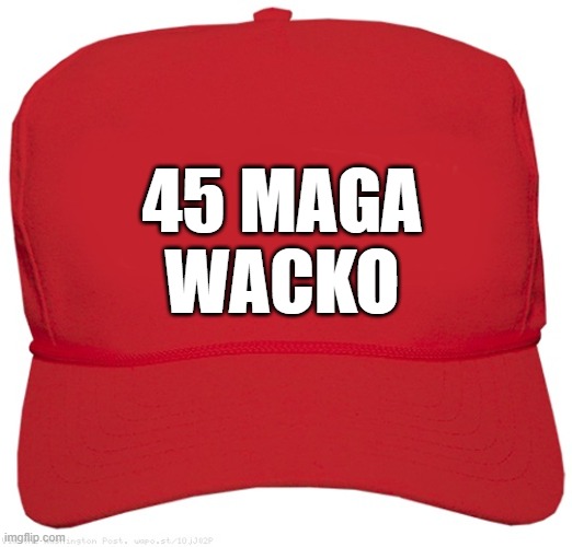 blank red MAGA BRAINDEAD hat | 45 MAGA
WACKO | image tagged in blank red maga hat,commie,fascist,dictator,change my mind,twilight zone | made w/ Imgflip meme maker