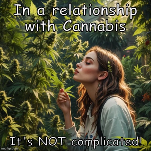 In a relationship with Cannabis...it's NOT complicated! | In a relationship with Cannabis; It's NOT complicated! | image tagged in love,cannabis,relationship | made w/ Imgflip meme maker