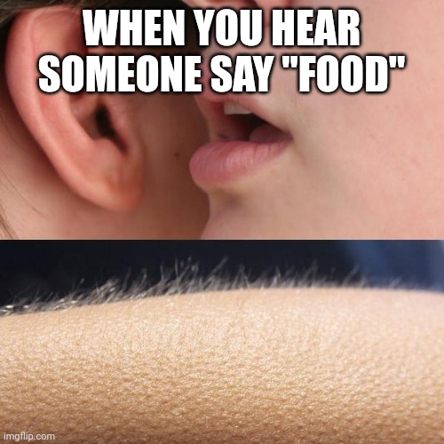 Insta triger | WHEN YOU HEAR SOMEONE SAY "FOOD" | image tagged in whisper and goosebumps | made w/ Imgflip meme maker