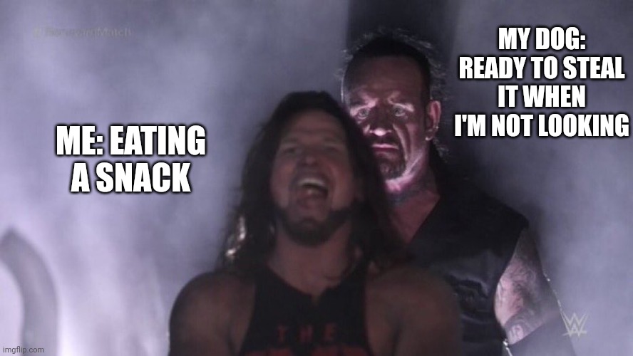 AJ Styles & Undertaker | MY DOG: READY TO STEAL IT WHEN I'M NOT LOOKING; ME: EATING A SNACK | image tagged in aj styles undertaker | made w/ Imgflip meme maker
