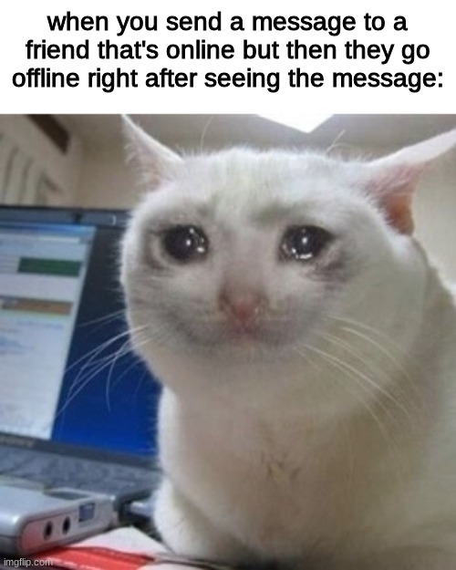 Crying cat | when you send a message to a friend that's online but then they go offline right after seeing the message: | image tagged in crying cat,meme,funny,cats,real,sad | made w/ Imgflip meme maker