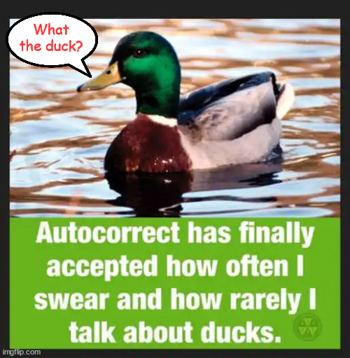 What the duck... | What the duck? | image tagged in repost,autocorrect,what the duck | made w/ Imgflip meme maker