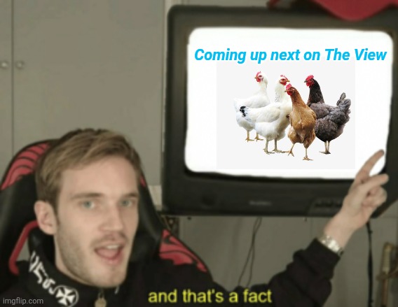 And that's a fact Pewdiepie | Coming up next on The View | image tagged in and that's a fact pewdiepie | made w/ Imgflip meme maker