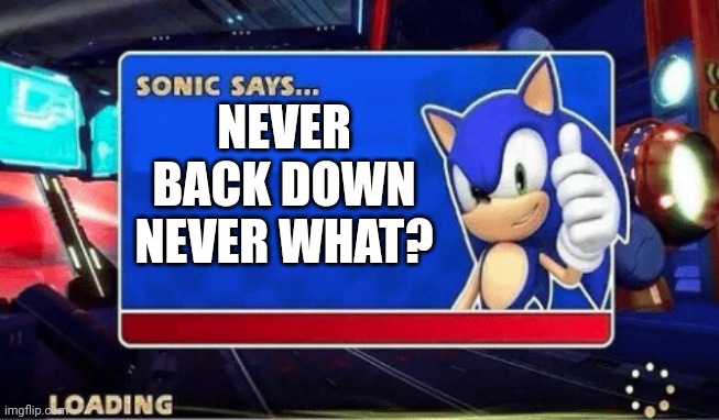 never give up! | NEVER BACK DOWN NEVER WHAT? | image tagged in sonic says | made w/ Imgflip meme maker