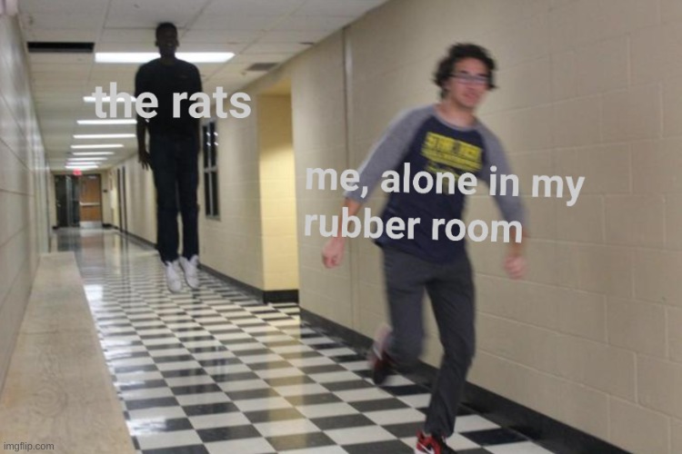 Crazy? i was crazy once! they locked me in a rubber room. a rubber room with rats. the rats made me crazy. Crazy?!? i was- (send | image tagged in rats | made w/ Imgflip meme maker