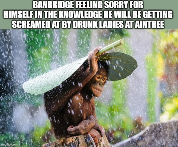 BANBRIDGE FEELING SORRY FOR HIMSELF IN THE KNOWLEDGE HE WILL BE GETTING SCREAMED AT BY DRUNK LADIES AT AINTREE | made w/ Imgflip meme maker