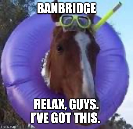 BANBRIDGE; RELAX, GUYS. I’VE GOT THIS. | made w/ Imgflip meme maker