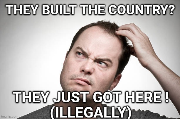 confused | THEY BUILT THE COUNTRY? THEY JUST GOT HERE !
(ILLEGALLY) | image tagged in confused | made w/ Imgflip meme maker
