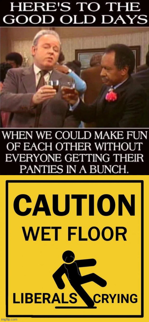 To the good old days... | image tagged in good old days,no triggered snowflakes,no sense of humor | made w/ Imgflip meme maker