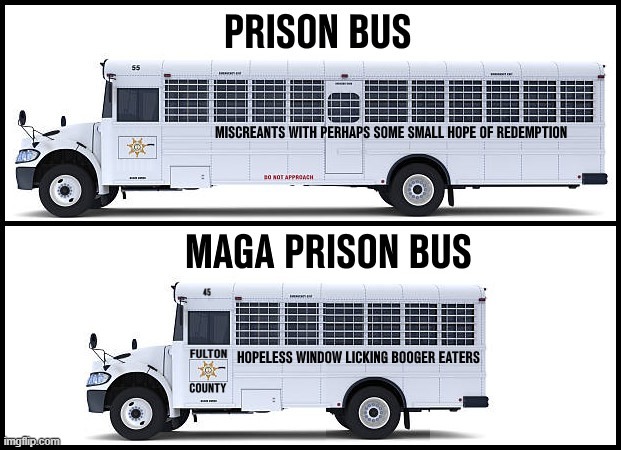 Now Can We Reopen The Asylums? | image tagged in maga,convict maga,convict trump,convict 45,maga is fascism meets idiocracy,maga politically insane | made w/ Imgflip meme maker