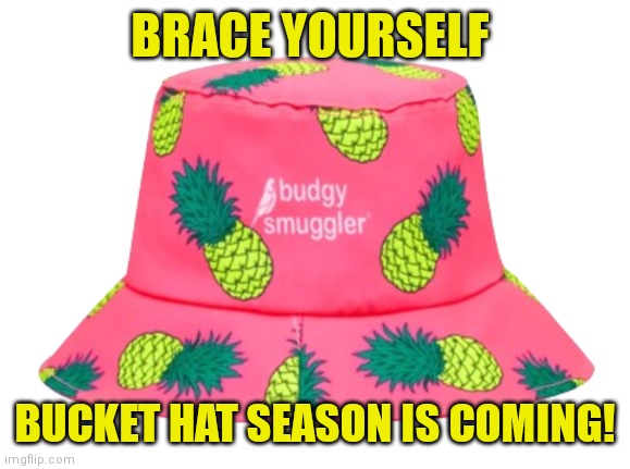 Bucket Hat | BRACE YOURSELF; BUCKET HAT SEASON IS COMING! | image tagged in bucket hat | made w/ Imgflip meme maker