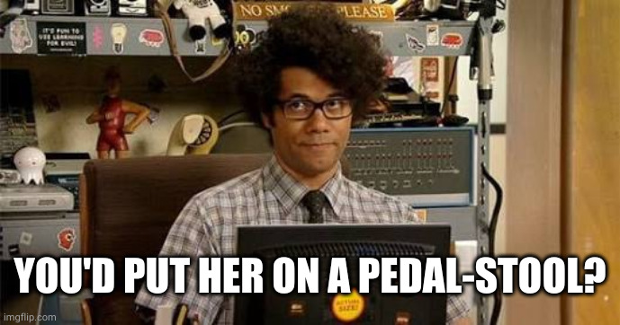 It crowd | YOU'D PUT HER ON A PEDAL-STOOL? | image tagged in it crowd | made w/ Imgflip meme maker