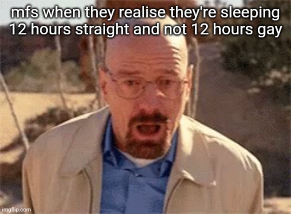 Walter White | mfs when they realise they're sleeping 12 hours straight and not 12 hours gay | image tagged in walter white | made w/ Imgflip meme maker